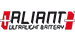 Aliant lithium motorcycle batteries